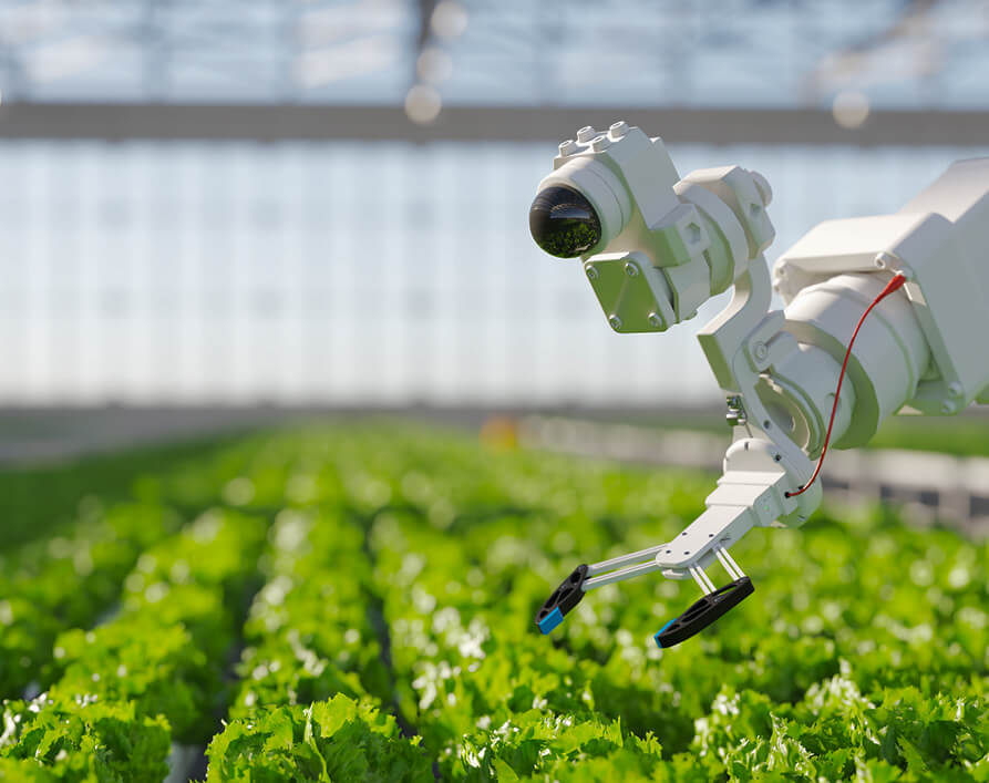 Smart Agriculture Cameras