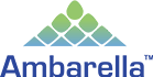 ambarella